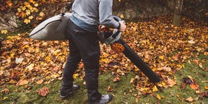 back view of a man vacuuming crispy leaves with leaf vacuum