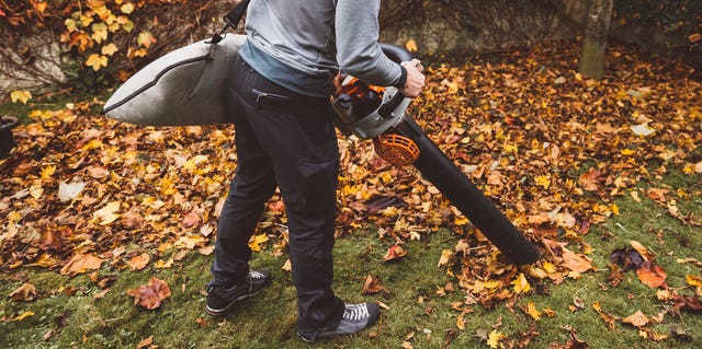 The 7 Best Leaf Mulchers of 2023 - Gas and Electric Leaf Mulchers