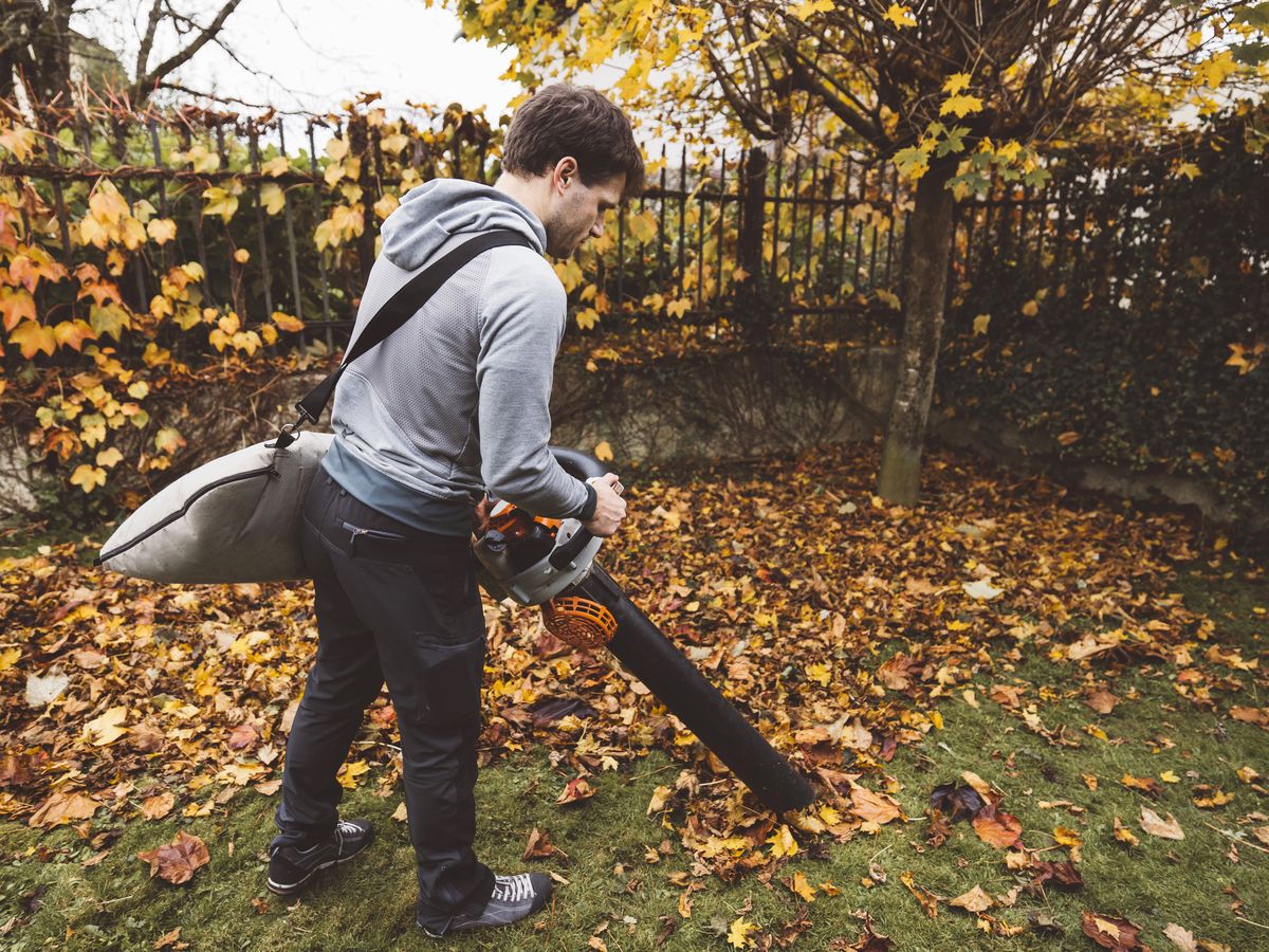 https://hips.hearstapps.com/hmg-prod/images/back-view-of-a-man-vacuuming-crispy-leaves-with-royalty-free-image-1693508926.jpg?crop=0.88931xw:1xh;center,top&resize=1200:*