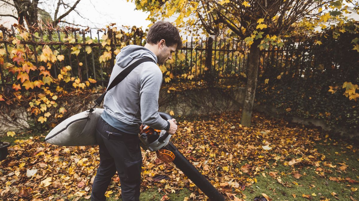 https://hips.hearstapps.com/hmg-prod/images/back-view-of-a-man-vacuuming-crispy-leaves-with-royalty-free-image-1693508926.jpg?crop=1xw:0.84335xh;center,top&resize=1200:*
