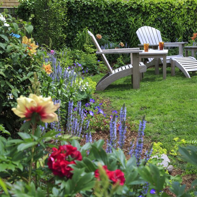 10 Best Home Garden Ideas To Enhance The Beauty of Home Garden