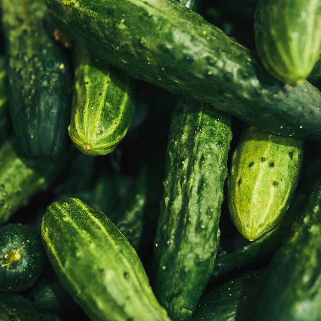 background of green cucumbers, close up.