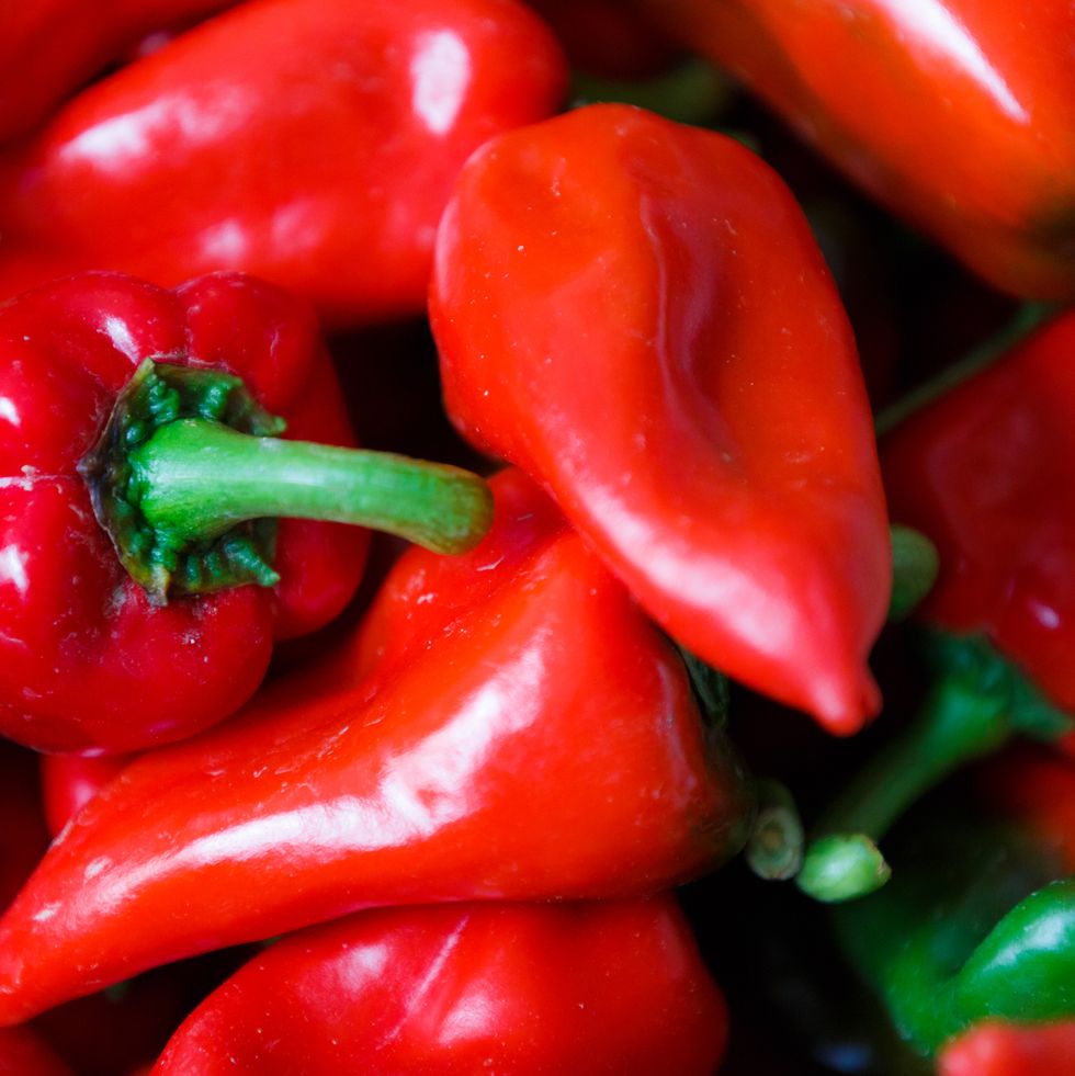 Why Bell Peppers Aren't Spicy