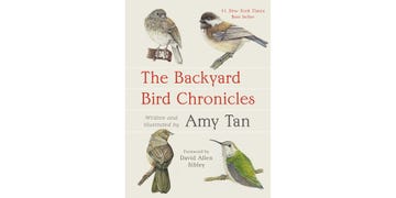 amy tan, the backyard bird chronicles