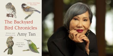 the backyard bird chronicles, amy tan