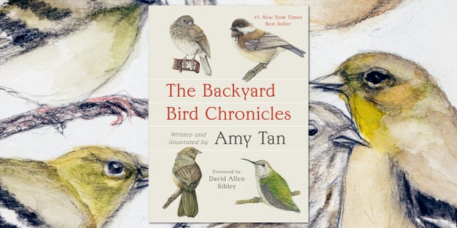 backyard bird chronicles, amy tan