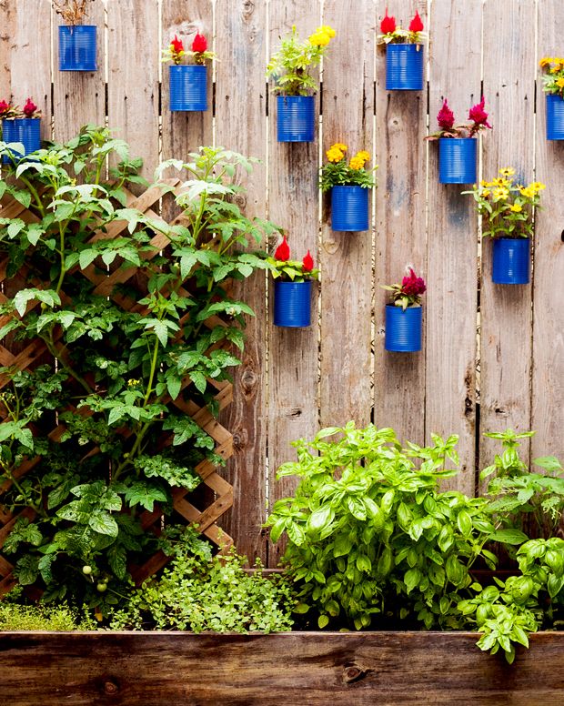 best backyard decor fence can planter
