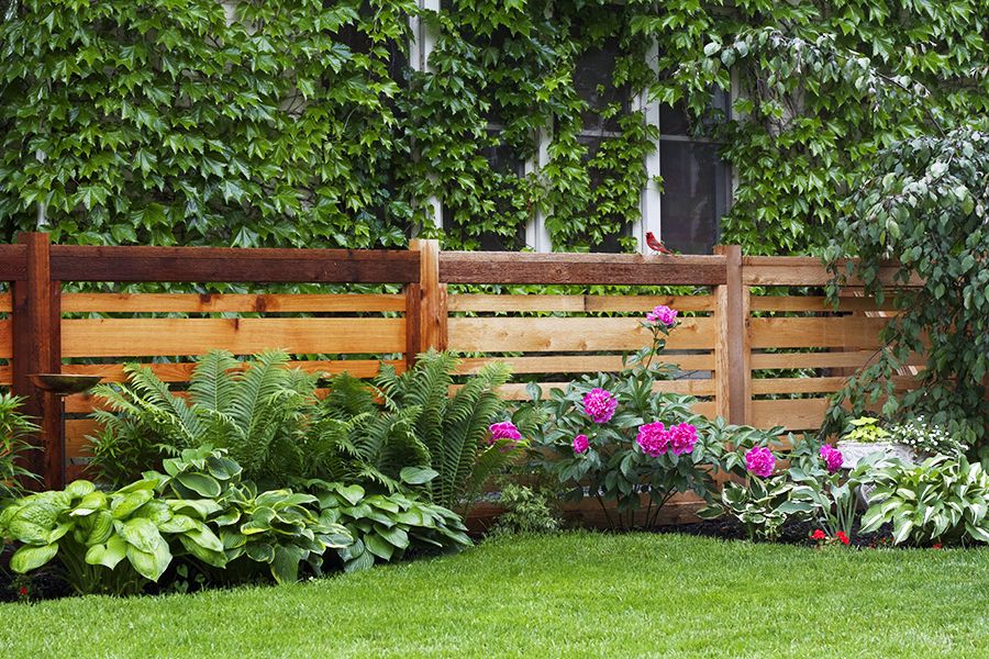 Garden, Fence, Backyard, Home fencing, Yard, Grass, Plant, Wood, Flower, Lawn, 