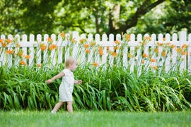 backyard fence ideas
