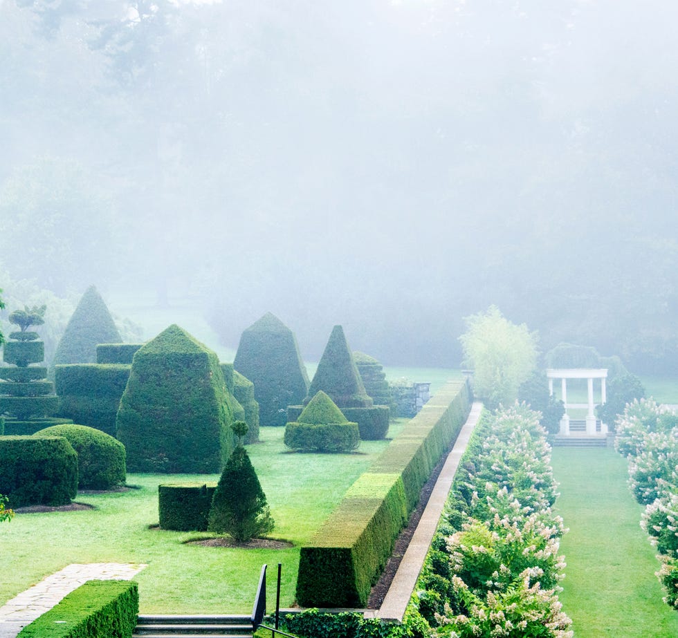 topiary design ideas for backyard