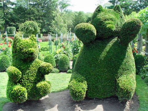 topiary