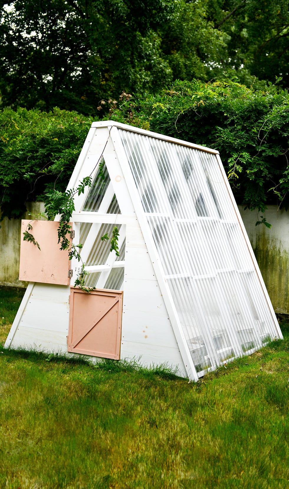 greenhouse