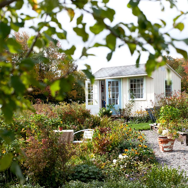 cute backyard with shed