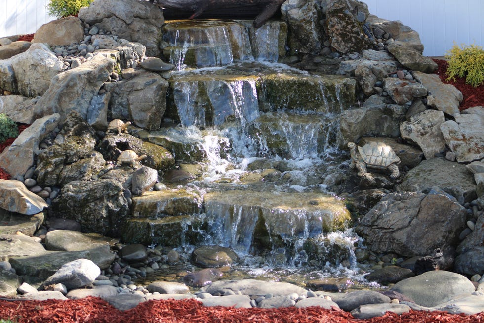 backyard pondless waterfall