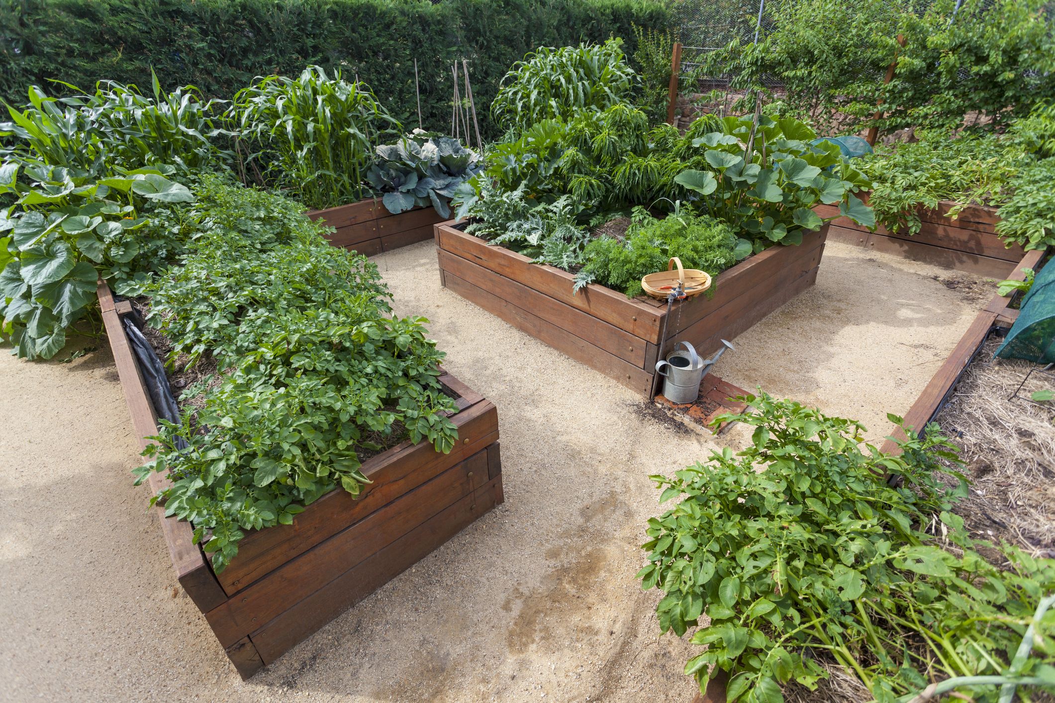 14 Raised Garden Bed Ideas To Elevate Your Yard