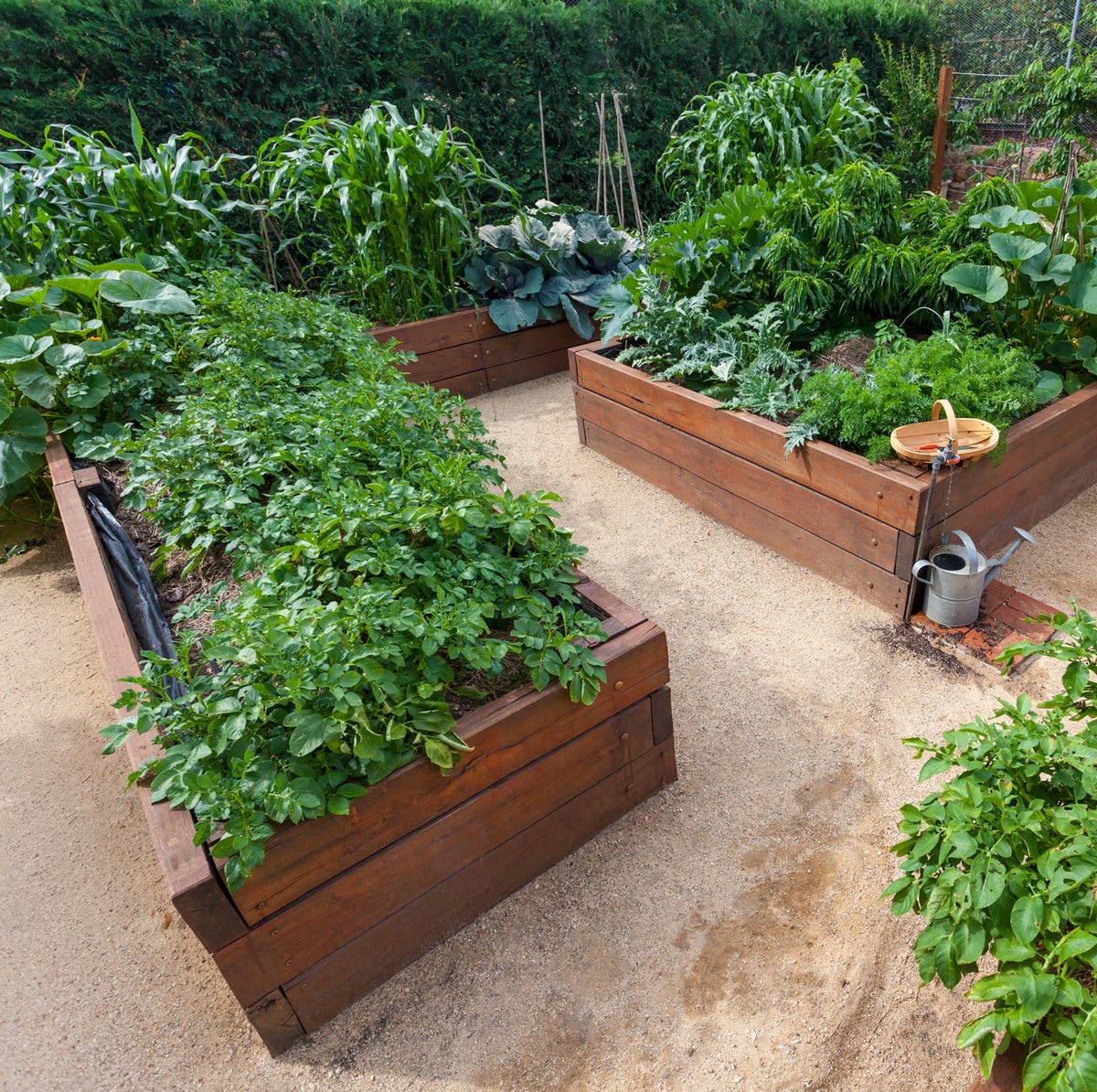 14 Raised Garden Bed Ideas to Elevate Your Yard