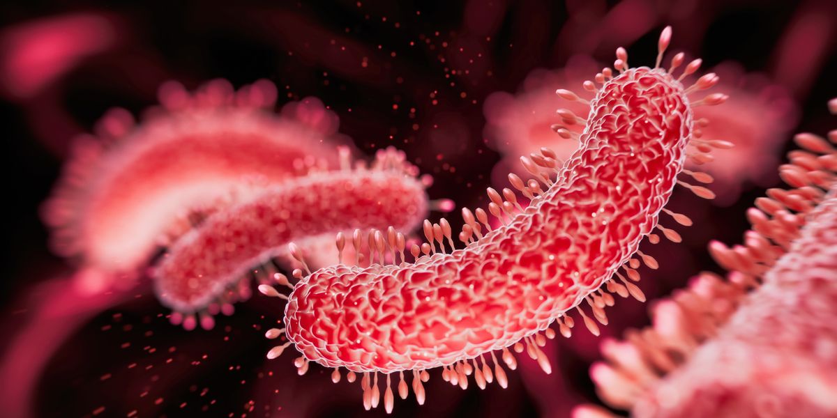 An Unknown Microbe Snuck Onto China's Space Station. Could It Infect the Universe?