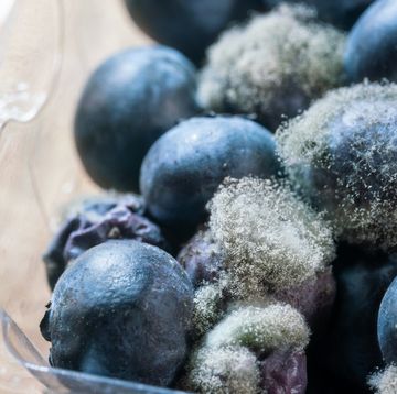 bad blueberry with fungi mold
