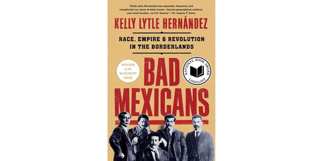 bad mexicans, race, empire, and revolution in the borderlands, kelly lytle hernÁndez