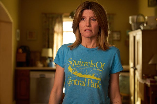 A person wearing a humorous tshirt featuring squirrels and Central Park