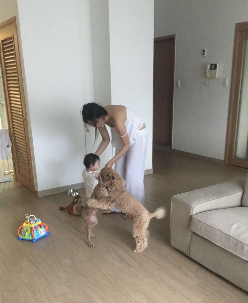 a person and a child playing with dogs in a living room