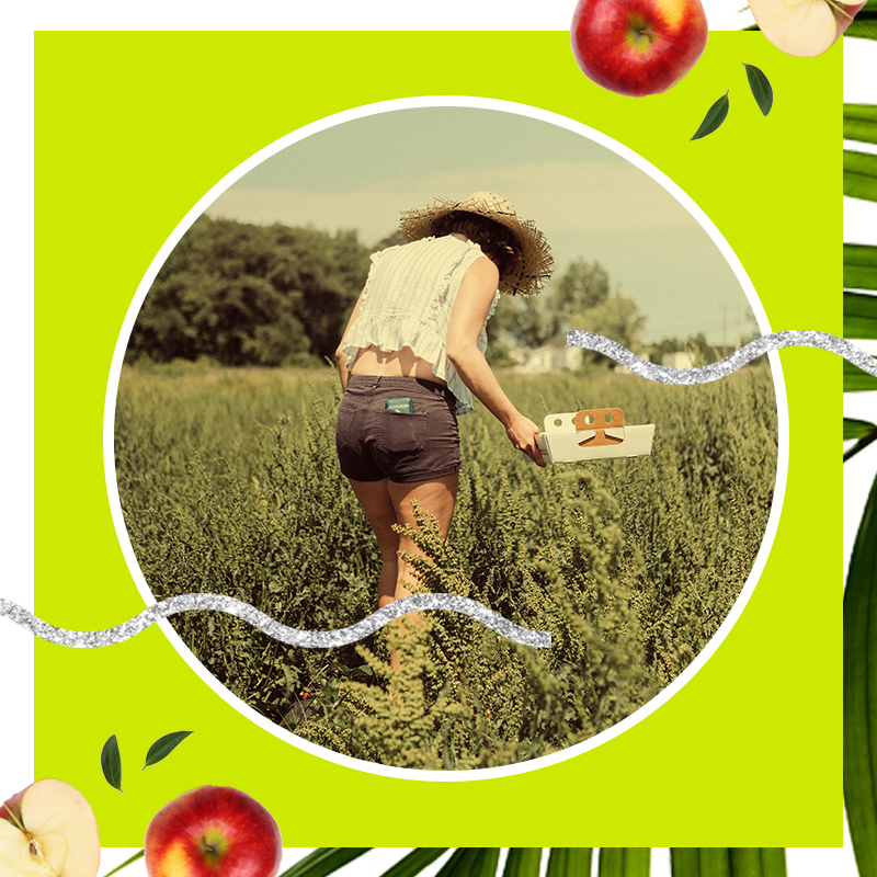 woman picking fruit in a field