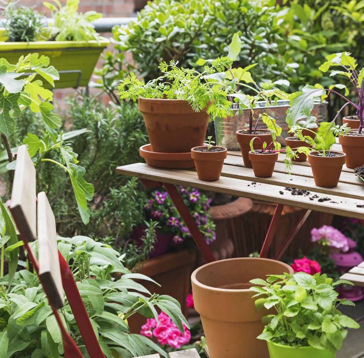 Balcony Gardens: 5 Tips To Help You Transform Your Small Space