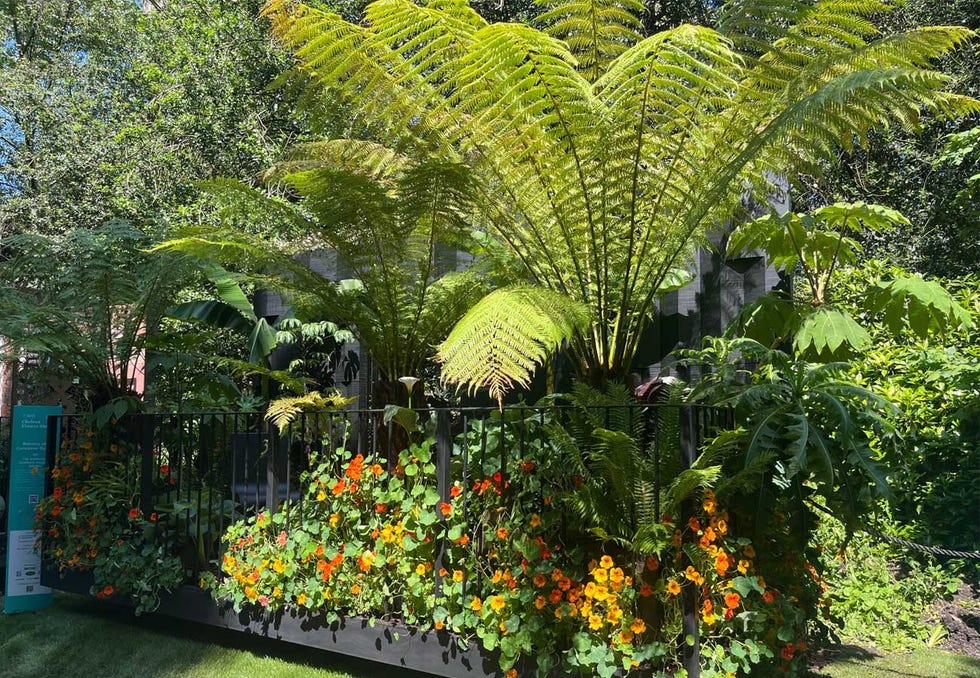 balcony garden