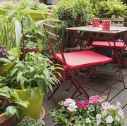 balcony filled with large variety of potted herbs and flowers