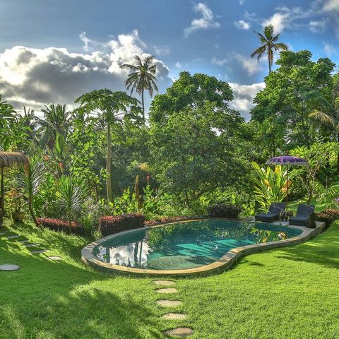 Nature, Property, Natural landscape, Vegetation, Estate, Grass, Swimming pool, Real estate, Backyard, House, 