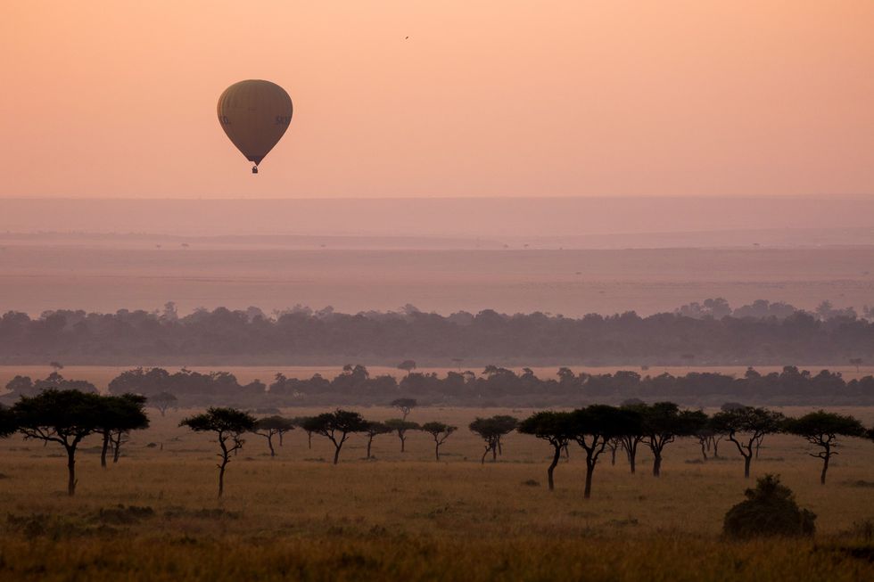 Hot air ballooning, Sky, Morning, Savanna, Natural environment, Hot air balloon, Safari, Plain, Ecoregion, Cloud, 