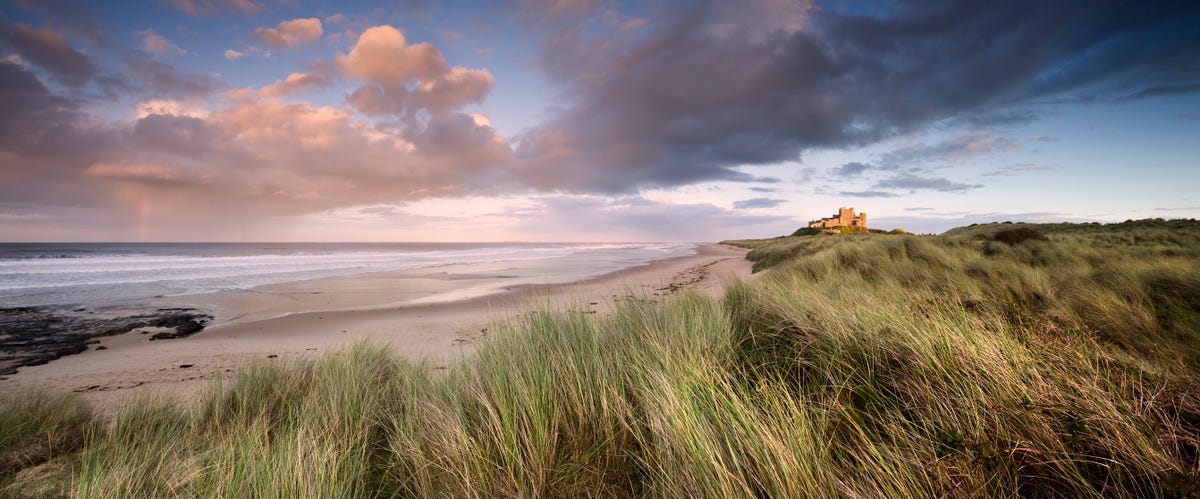 UK sand dune guide: best dunes to visit and wildlife to identify 