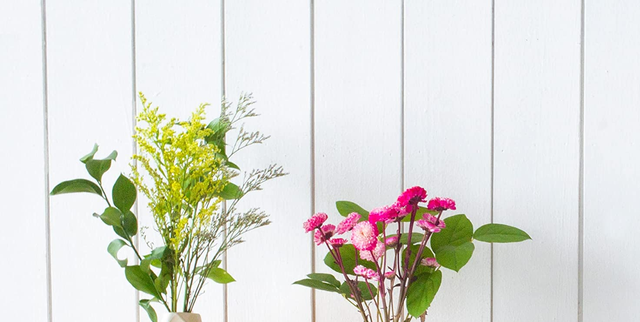 We Found the Best Cheap Flower Vases on Amazon, Starting at $17