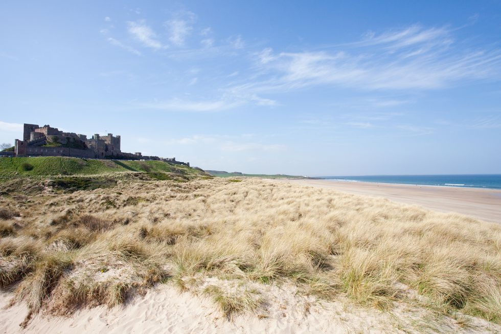 bamburgh castle to budle bay coastal walk