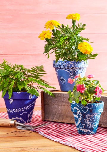 bandana covered pots