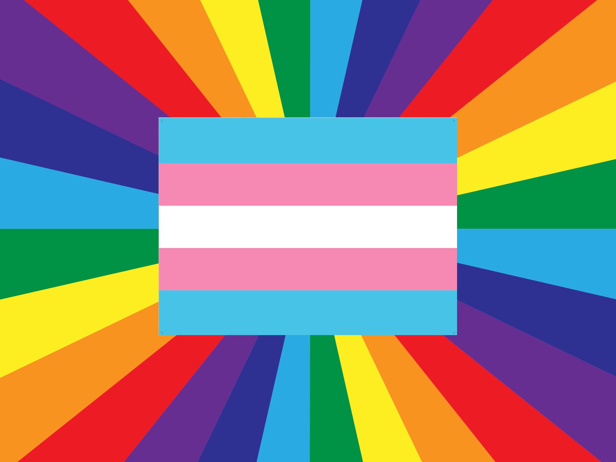 Aire acondicionado Colectivo Impuestos Cuáles son las banderas LGBTIQA+ y cuál es su significado