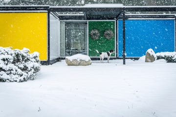 The frost House, an authentic mid-century modern home in Indiana