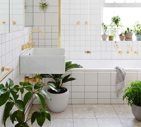 baño blanco con plantas