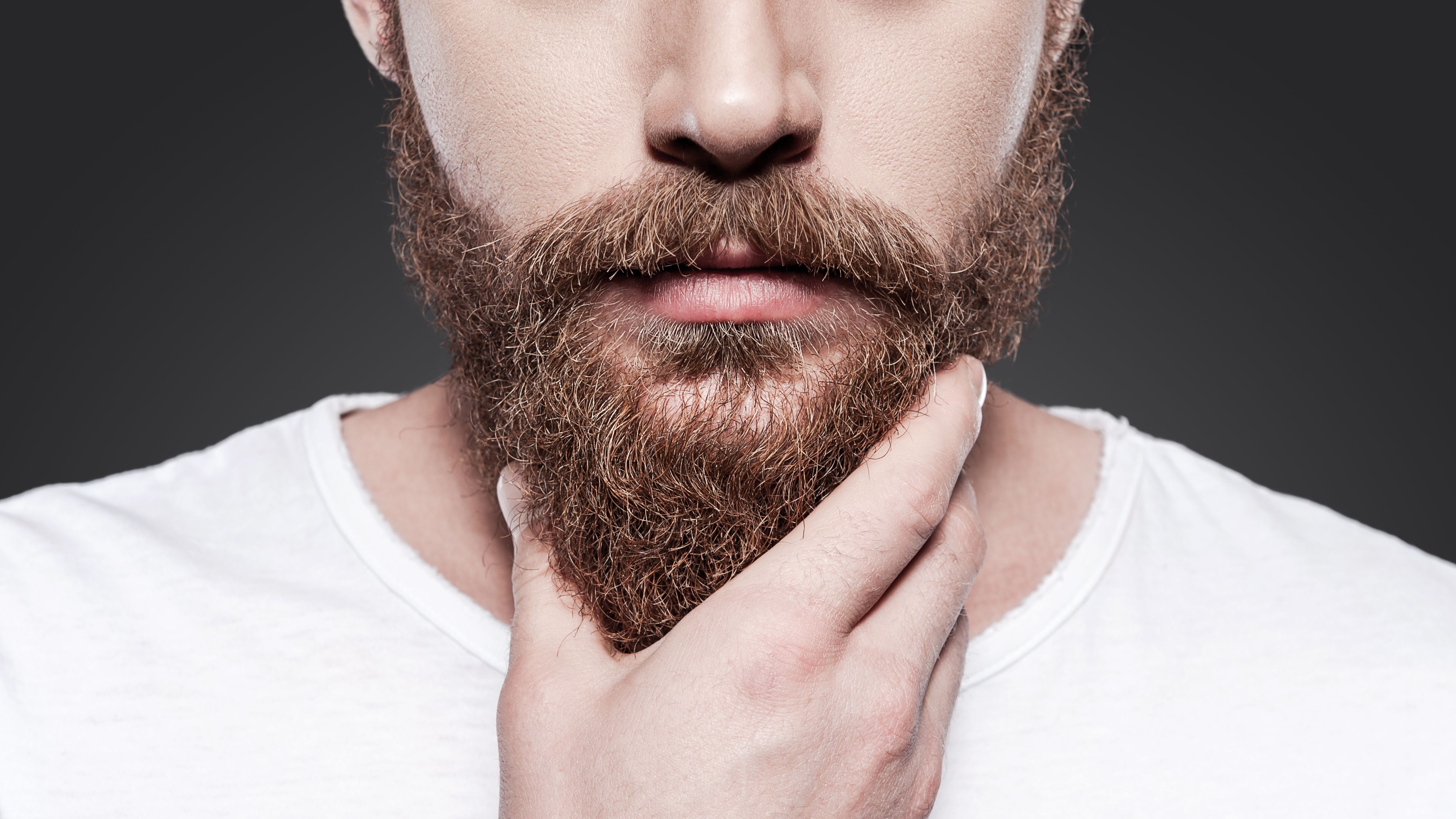 Crema per ammorbidire la barba: perché è utile e una selezione da