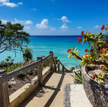 barbados travel guide, beaches, restaurants, attractions
