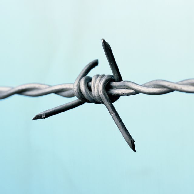 Barbed wire, close-up