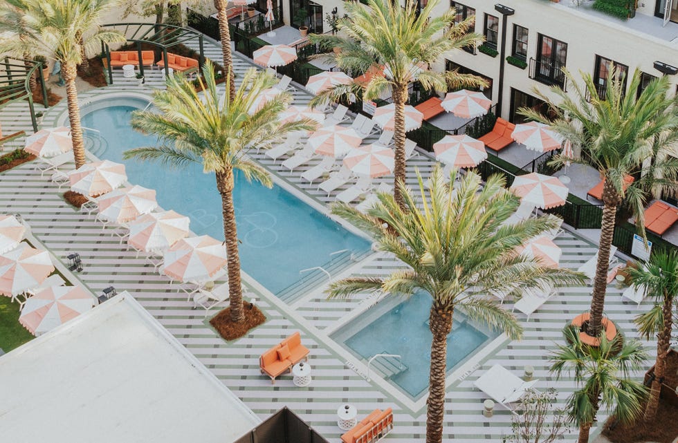 a pool with palm trees and umbrellas