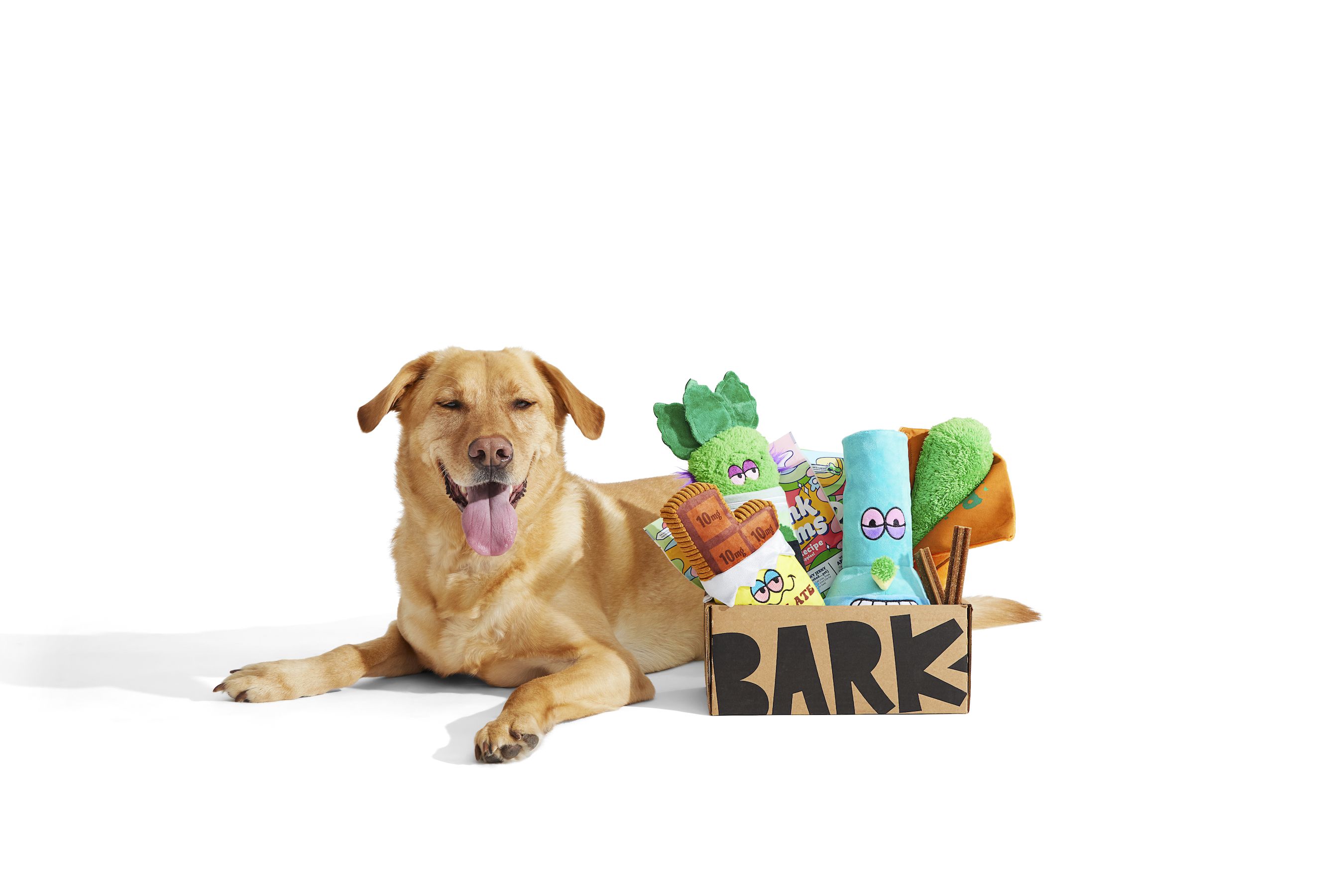 Barkbox Weed Themed 4 20 Dog Toys To
