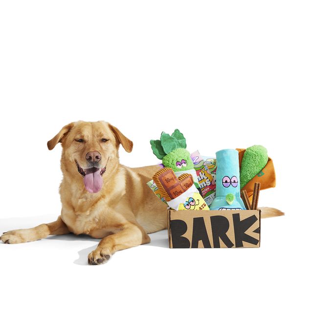 BarkBox Weed-Themed 4/20 Dog Toys to Buy in 2022 - Funny Dog Toys