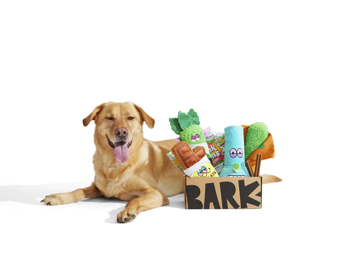 BarkBox Weed-Themed 4/20 Dog Toys to Buy in 2022 - Funny Dog Toys to  Celebrate 4/20