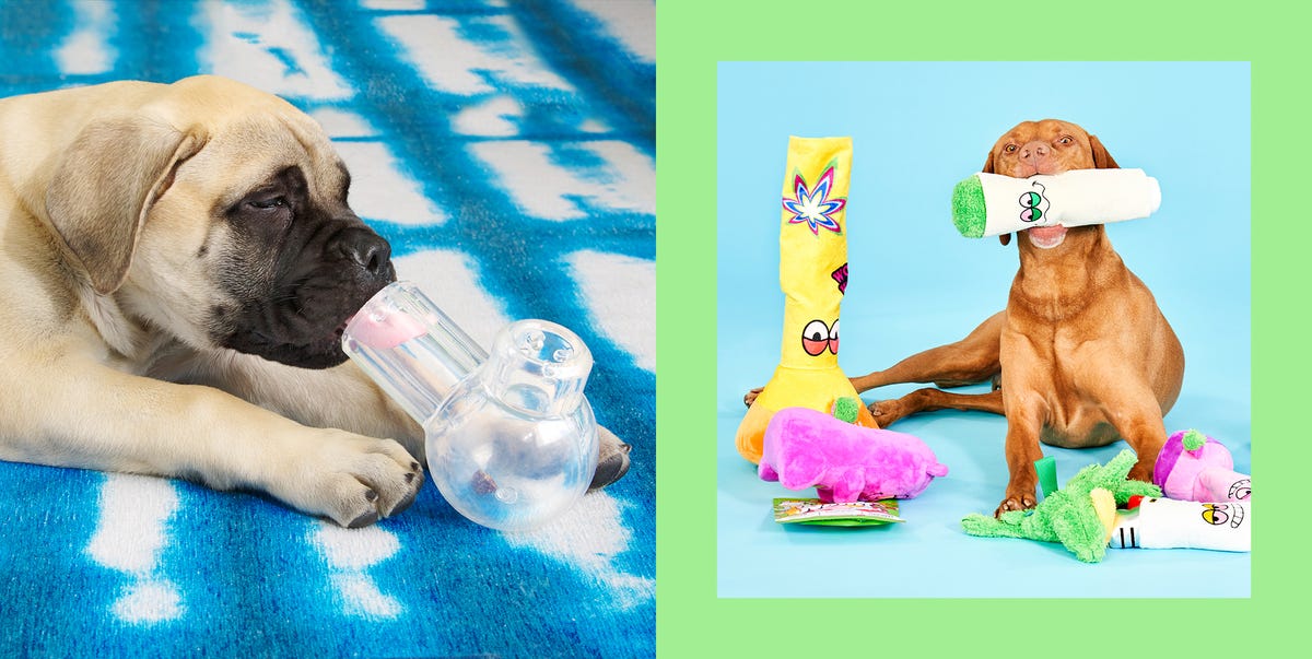 BarkBox Weed-Themed 4/20 Dog Toys to Buy in 2022 - Funny Dog Toys to  Celebrate 4/20