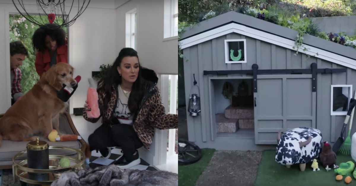 Watch the First Trailer for 'Barkitecture' — Quibi Will Air a Dog House  Design Show 'Barkitecture'