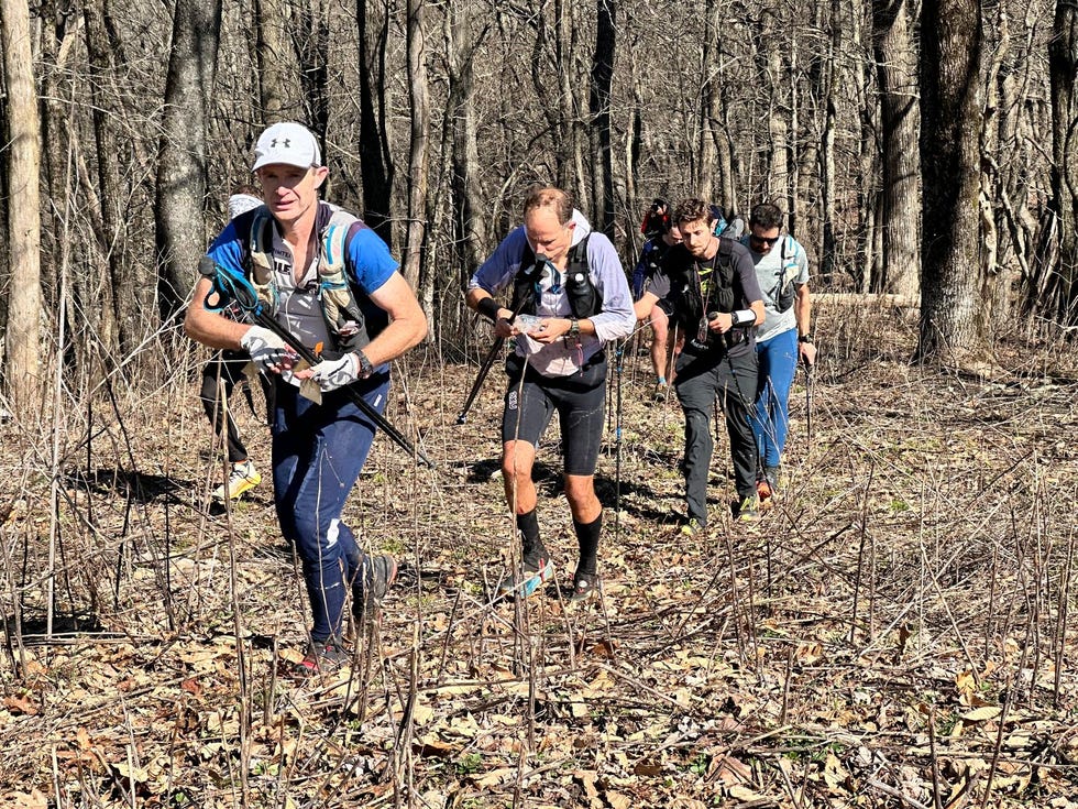 a group of people hiking in the woods