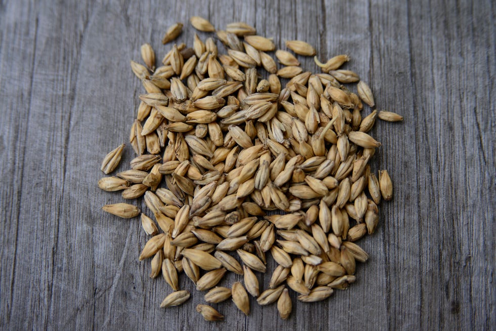 barley