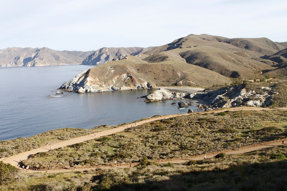 Catalina Island Marathon